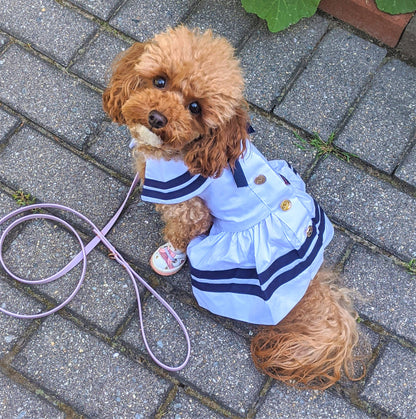 Sailor Dress White – Classic Nautical Style Dog Outfit  SALE 50% OFF