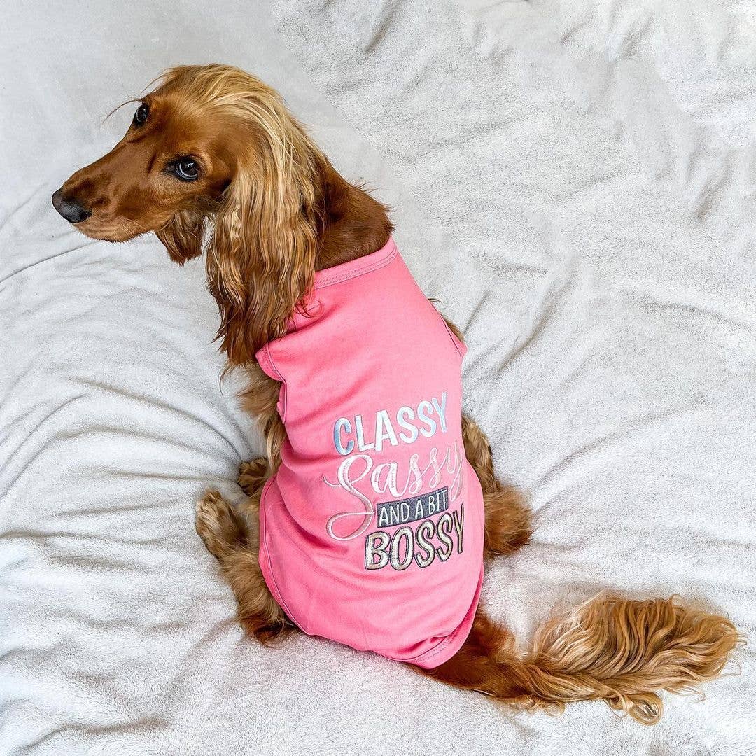 Classy Sassy and a Bit Bossy Dog T-Shirt – Bold & Fun Tee