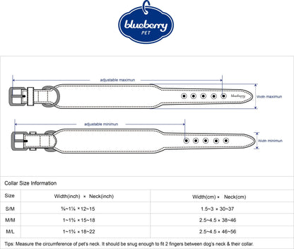 Tan/Brown Collar Western Style Premium Leather Collar - Western Style