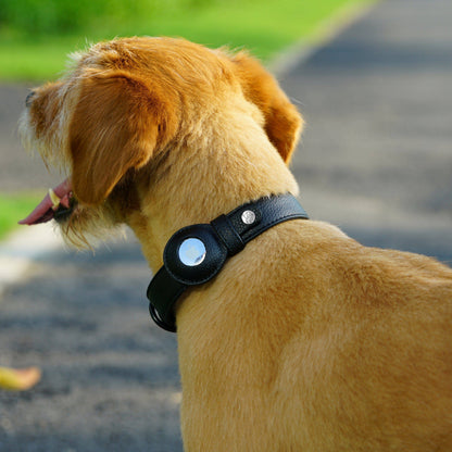 Silver-Powered Freshness Microfiber Vegan Leather AirTag Dog Collar