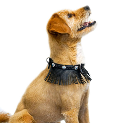Tan Fringed collar Western Style Silver-Powered Freshness Microfiber Suede Dog Collar – Fringed Style with Turquoise Studs