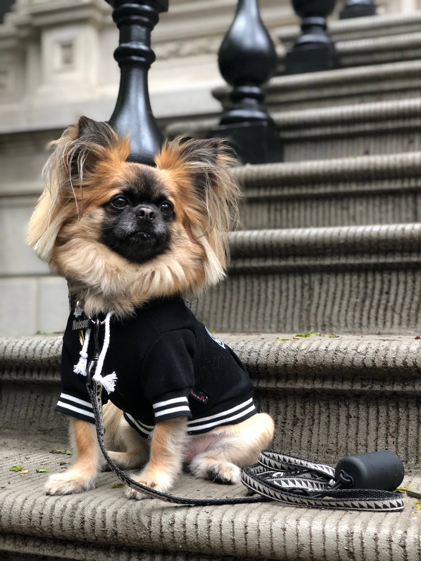 Bestie Hoodie – Adorable & Warm Dog Hoodie for Pups