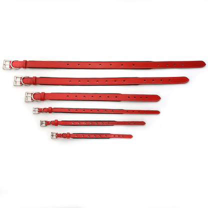 Premium Leather Pet Christmas Holiday Collar with Interchangeable Charms & Studs