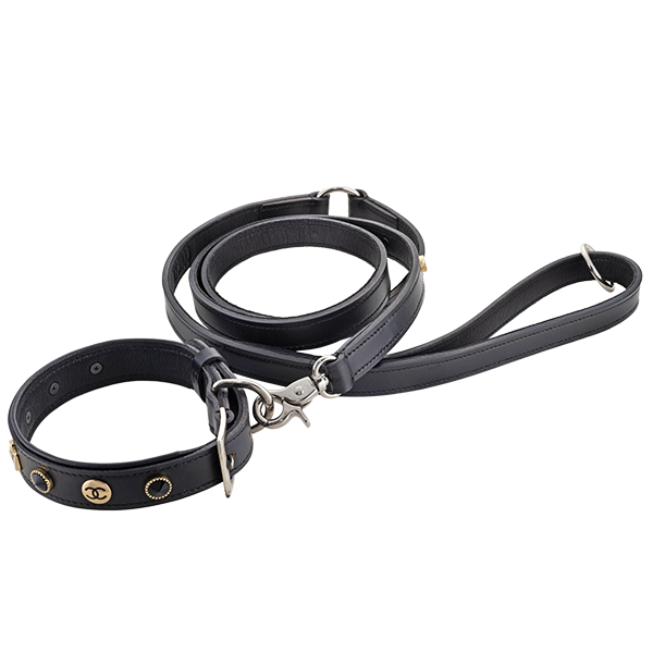 Premium Genuine Leather Dog Leash - Durable, Stylish, Adjustable for Charms