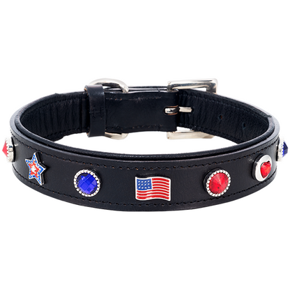 Patriotic Dog Collar with Interchangeable Flag, Heart, Star Charms & Studs