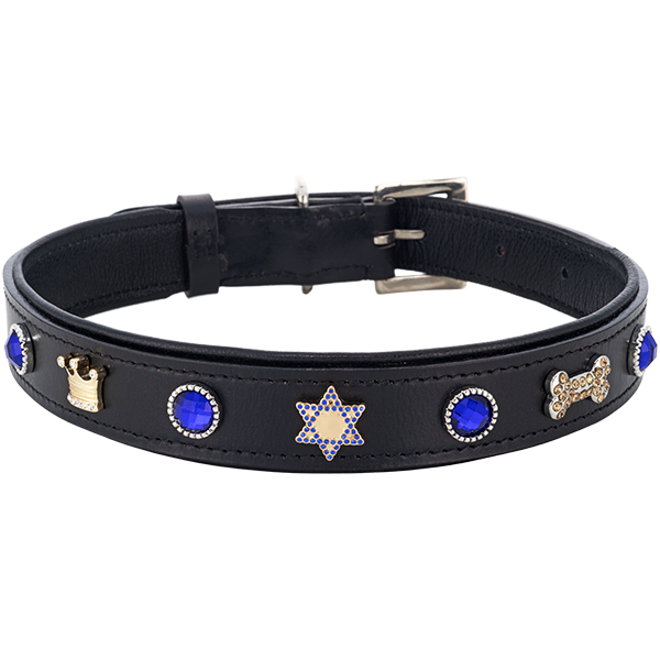 Stylish Star of David Dog Collar with Crown & Bling Bone Charms, Royal Blue Studs