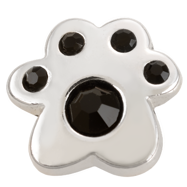 Edgy Spiked Dog Collar: Durable Puppy & Adult Canine Neckwear