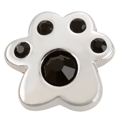 Edgy Spiked Dog Collar: Durable Puppy & Adult Canine Neckwear