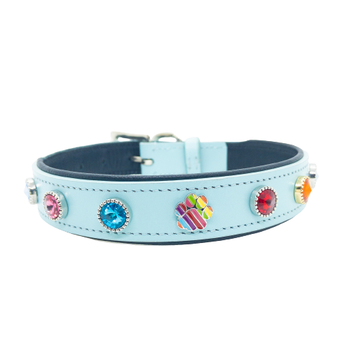 Vibrant Aqua Genuine Leather Dog Collar with Rainbow Paw Studs for Pride