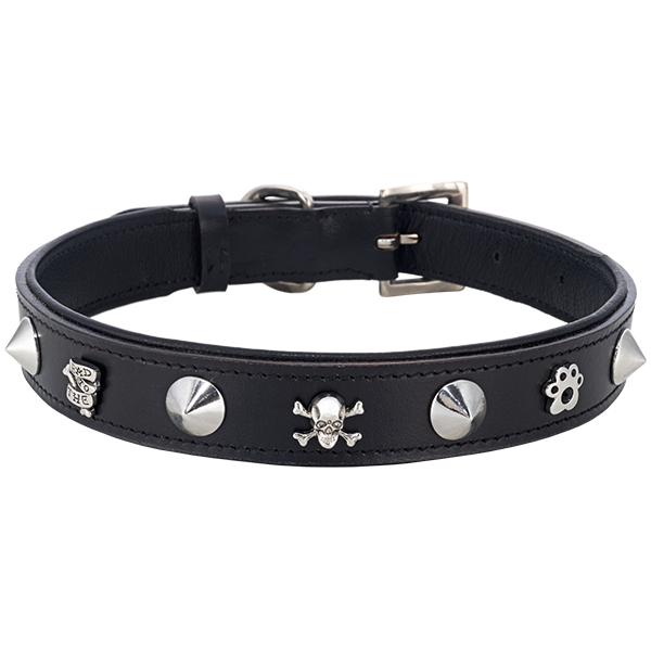 Edgy Spiked Dog Collar: Durable Puppy & Adult Canine Neckwear