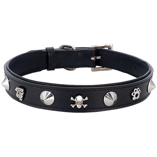 Edgy Spiked Dog Collar: Durable Puppy & Adult Canine Neckwear
