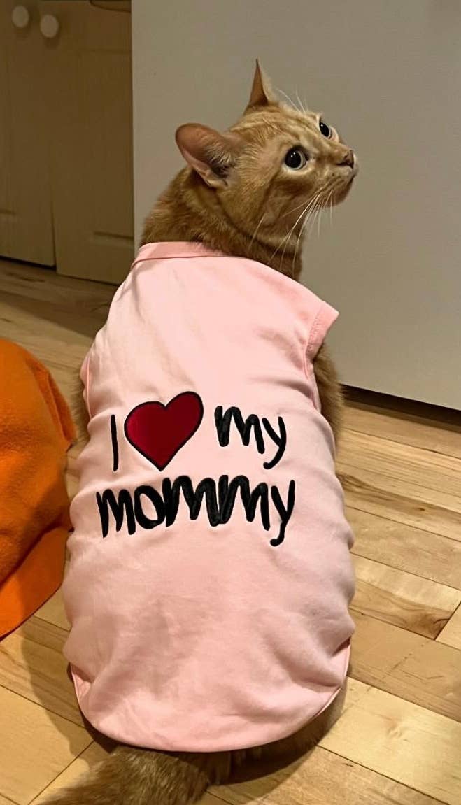 I Love Mommy®  Pink Dog T-Shirt – Perfect Family Outfit