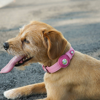 Silver-Powered Freshness Microfiber Vegan Leather AirTag Dog Collar