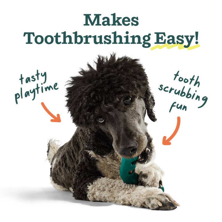 Bite n' Brush Dog Toy by Woof