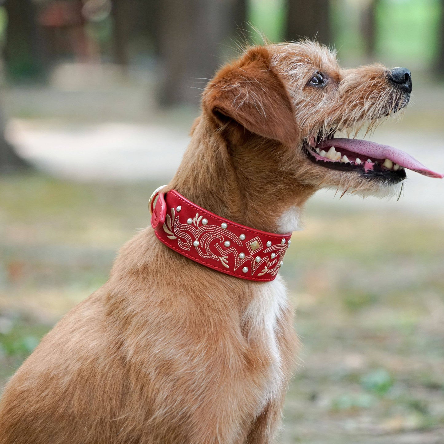 Red Collar Western Style Premium Leather Collar