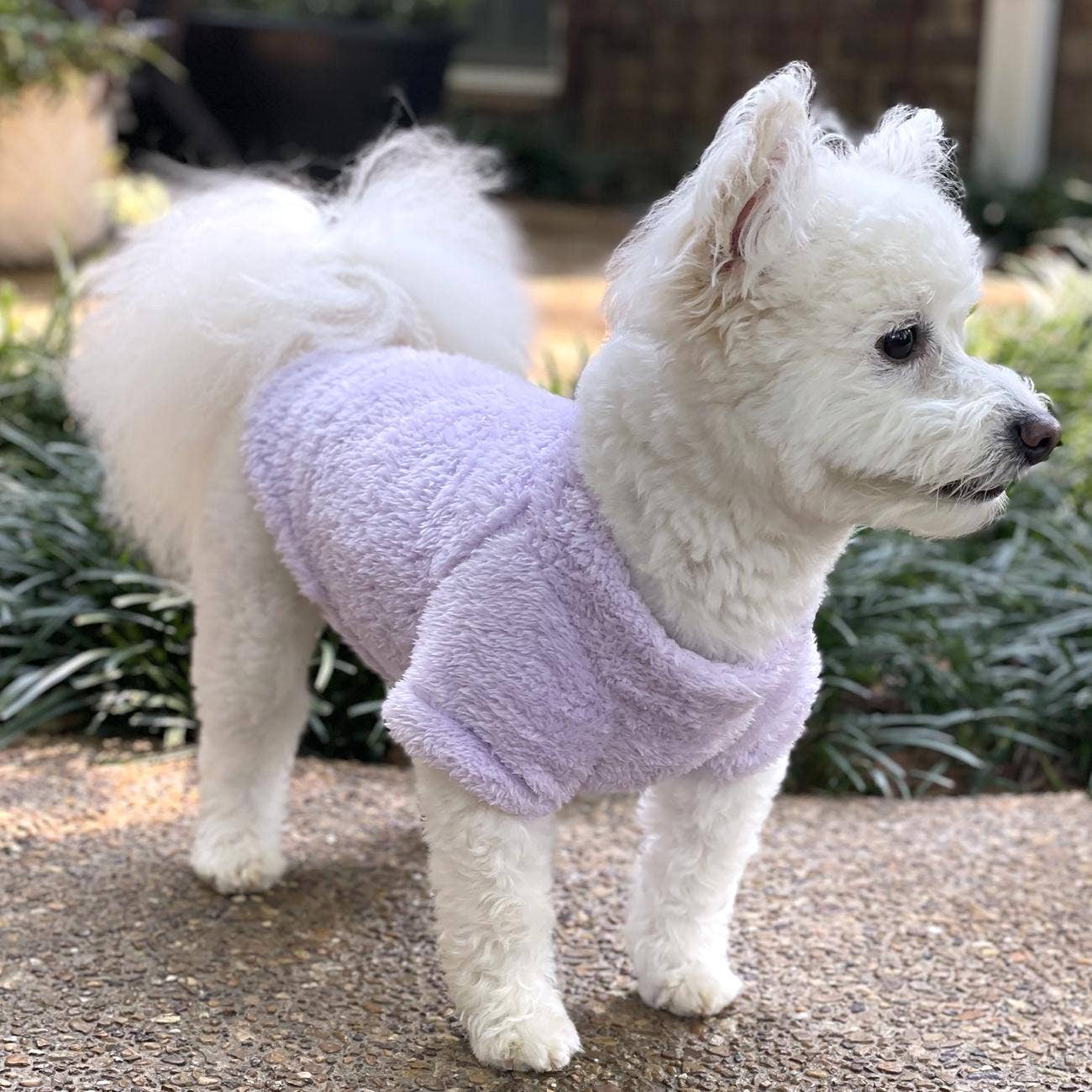 Soft Plush Dog Pullover - Lavender