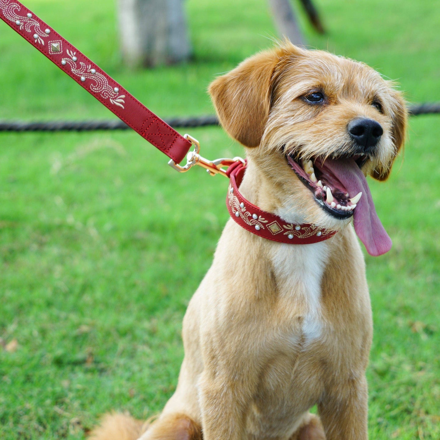 Tan/Brown Leather Western Leash with Embroidery and Turquoise Studs