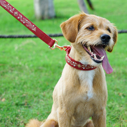 Tan/Brown Leather Western Leash with Embroidery and Turquoise Studs