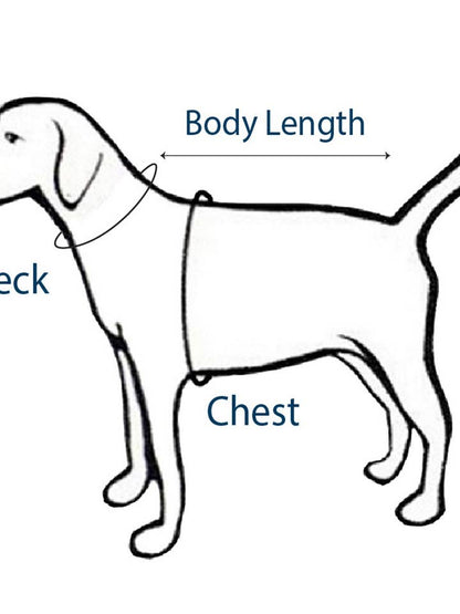 Festive Green Tartan Plaid Pet Dress Holiday Attire for Furry Friends