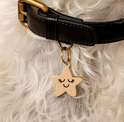 Smiling Star Pet ID Tag Includes Free Engraving