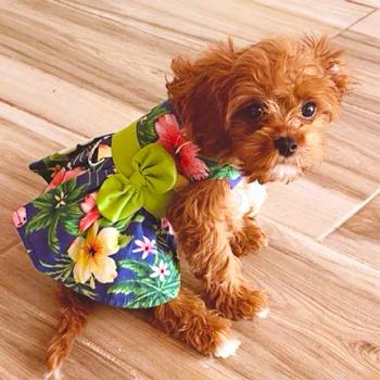 Tropical Blue Lagoon Hawaiian Hibiscus Dog Dress with Matching Leash for Pets