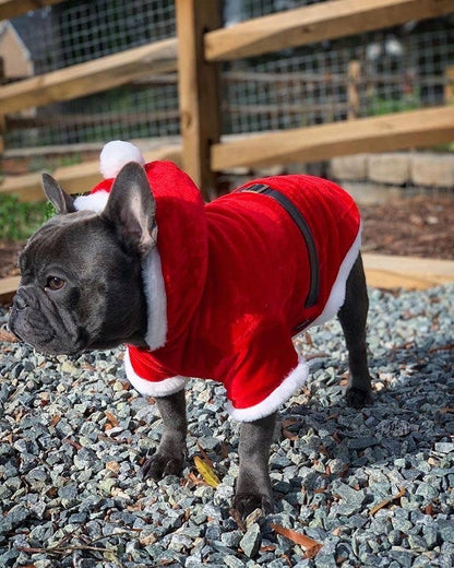 Santa Claus Hoodie – Stylish & Warm Christmas Wear