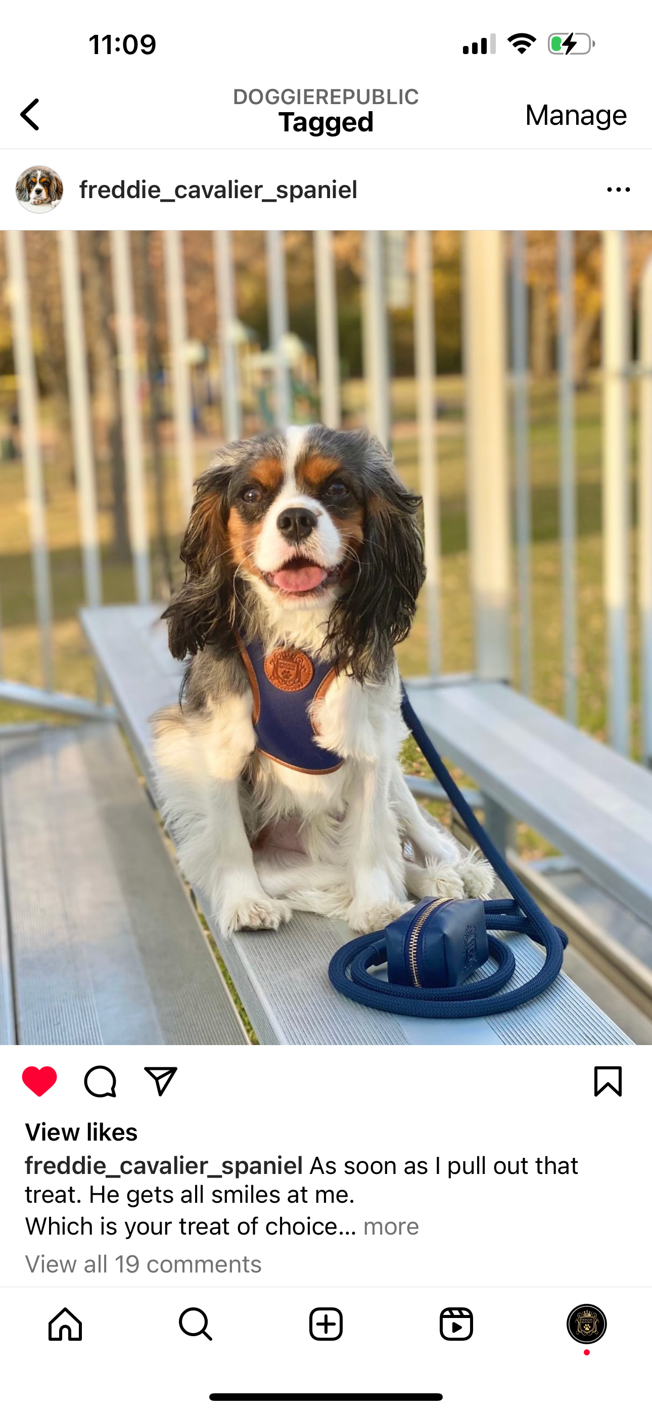 The Classic Waste Bag Holder - Night Sky (Gold Hardware)