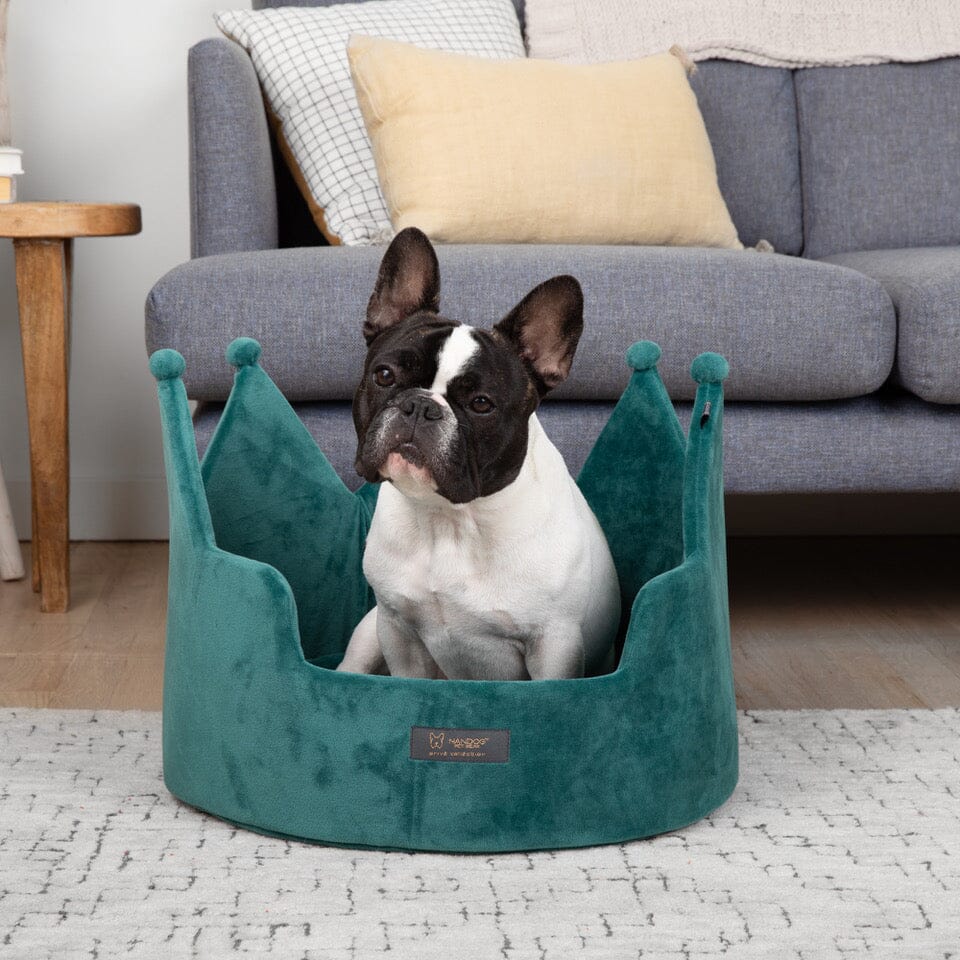 Royal Green Crown Pet Bed: Plush Cloud Prive Collection for Dogs & Cats