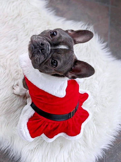 Beautiful and Festive  Mrs. Claus Dress