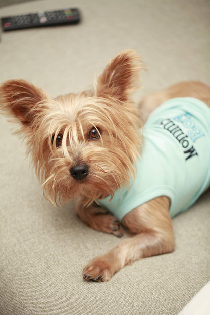 Mommy's Boy Dog T-Shirt – Cute Pet Outfit for Dogs