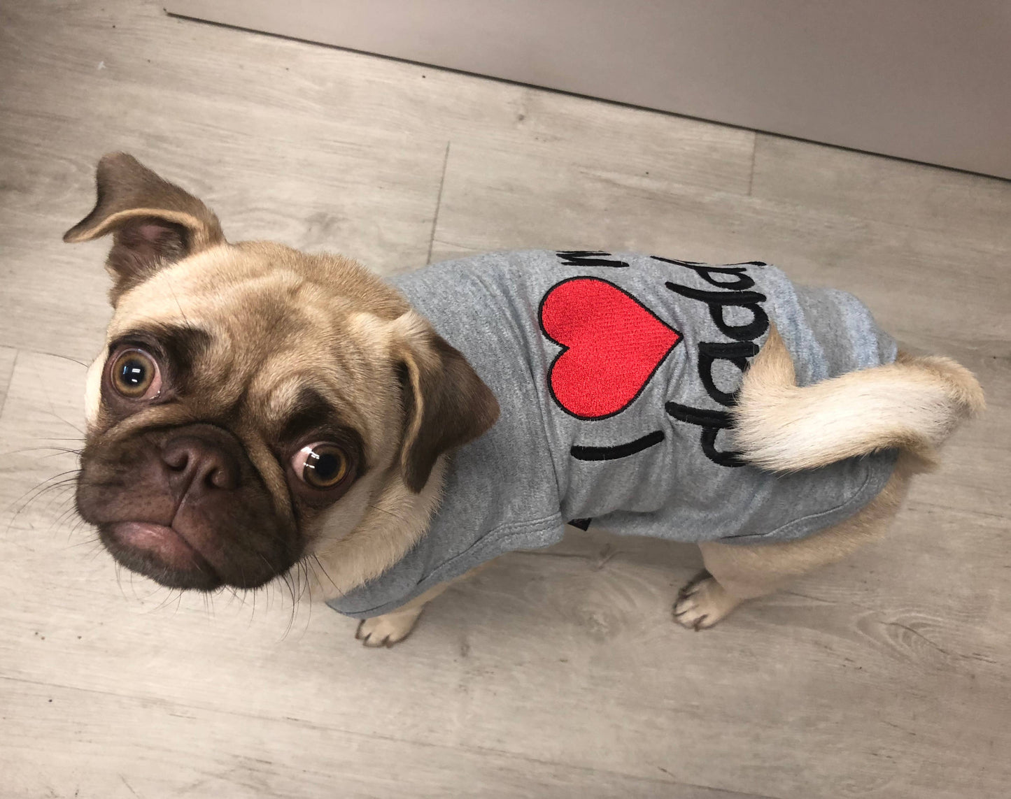 I Love Daddy Dog T-Shirt – Adorable Pet Tee for Dogs