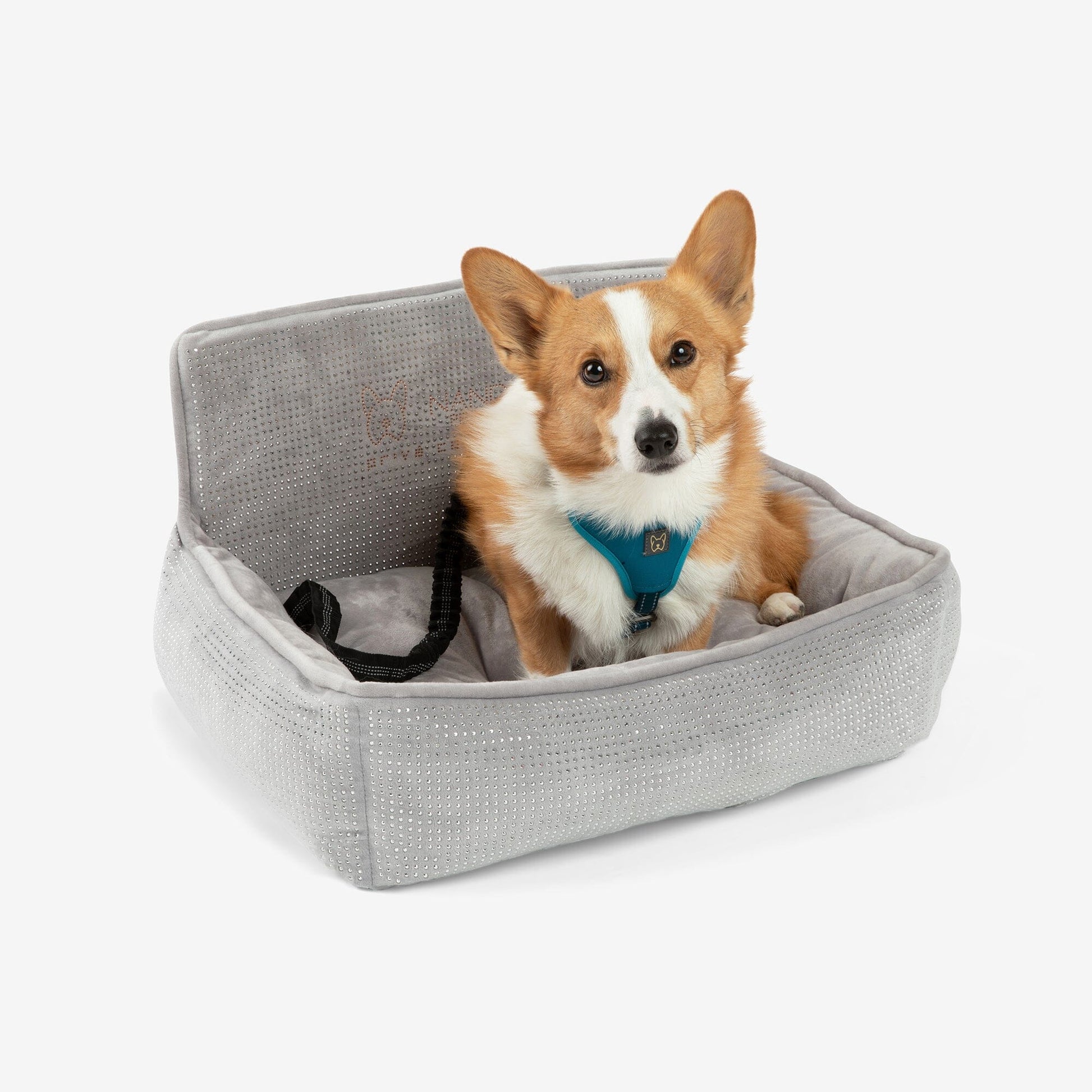 Luxury Pet Car Seat: Secure, Cozy, and Stylish Travel for Small Dogs