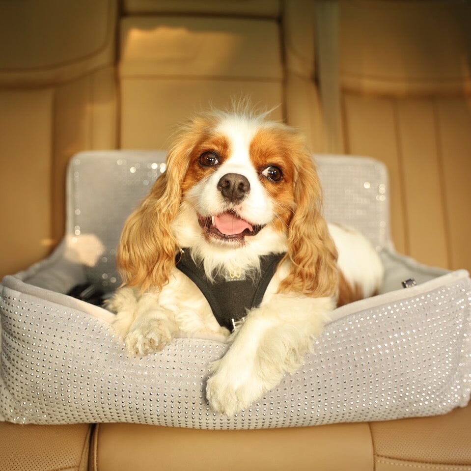 Luxury Pet Car Seat: Secure, Cozy, and Stylish Travel for Small Dogs