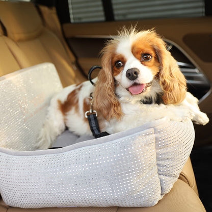Luxury Pet Car Seat: Secure, Cozy, and Stylish Travel for Small Dogs