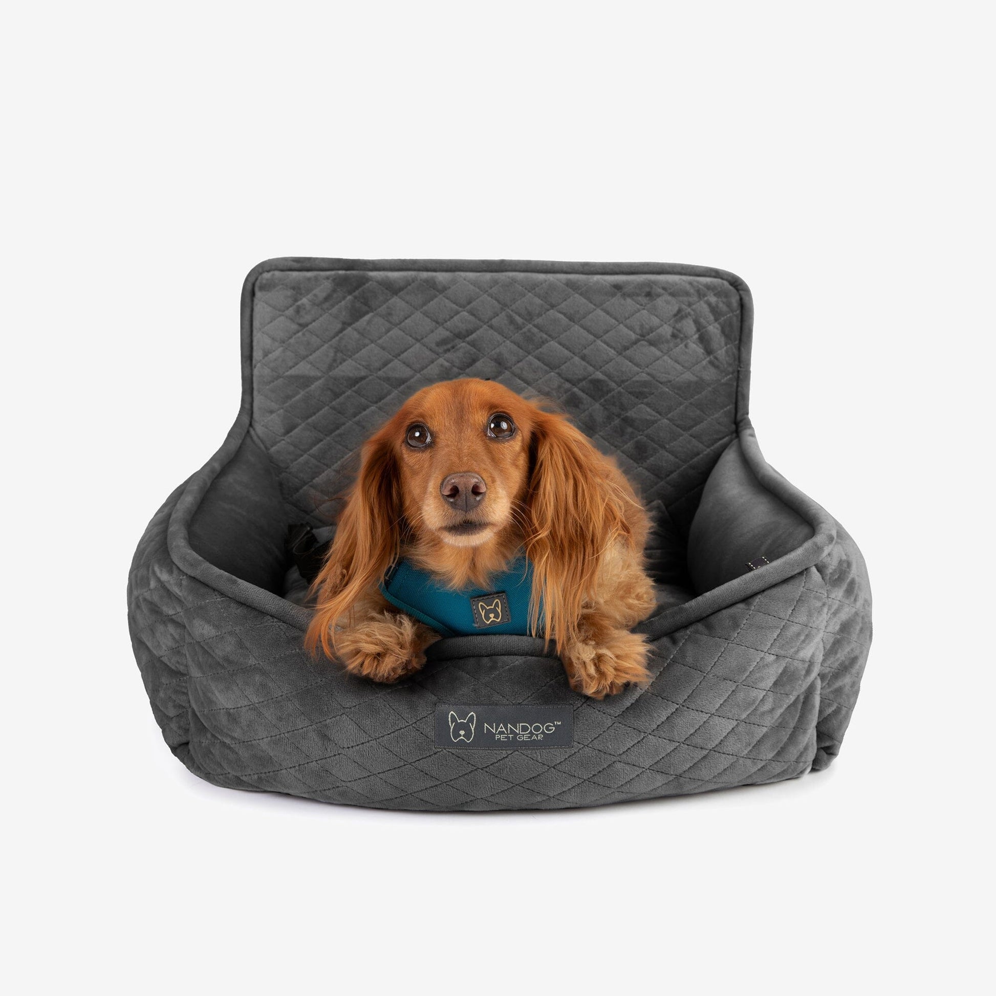 Secure Quilted Dog Car Seat for Small Pets - Dark Gray Comfort Booster