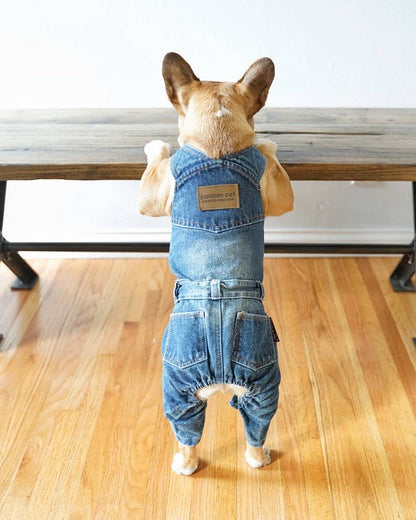Denim Overalls – Perfect Pet Outfit for Casual Wear