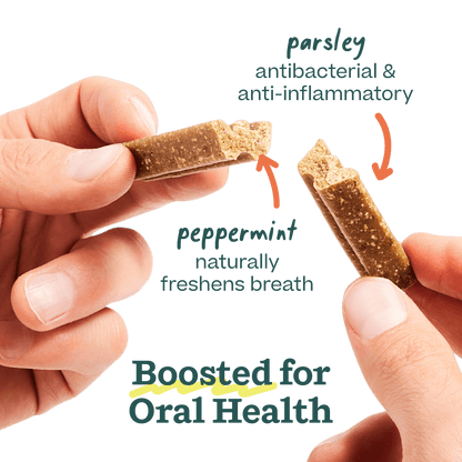Bite n' Brush Dental Refills