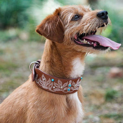 Tan/Brown Collar Western Style Premium Leather Collar - Western Style
