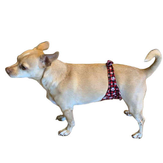 Male Dog Belly Band, Seniors, Potty Training, Buckle Closure