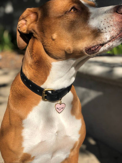Smiling Heart Pet ID Tag Includes Free Engraving