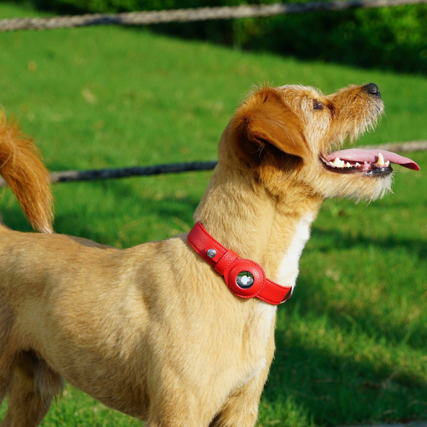 Silver-Powered Freshness Microfiber Vegan Leather AirTag Dog Collar