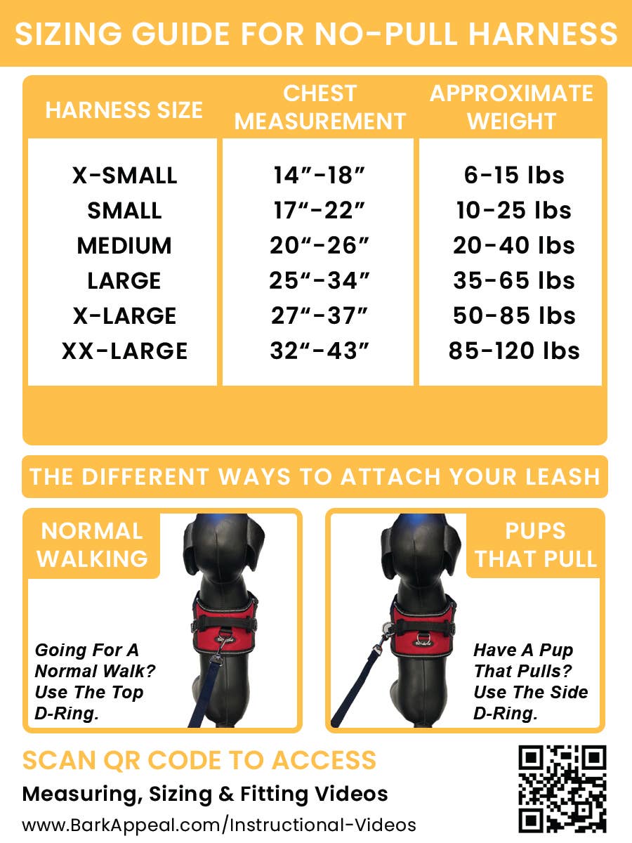 Reflective No Pull Harness