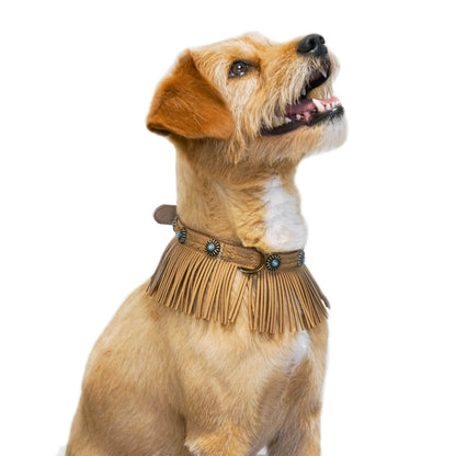 Tan Fringed collar Western Style Silver-Powered Freshness Microfiber Suede Dog Collar – Fringed Style with Turquoise Studs