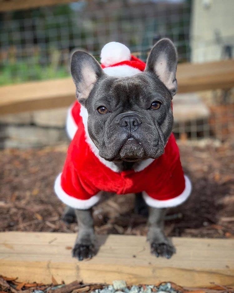 Santa Claus Hoodie – Stylish & Warm Christmas Wear