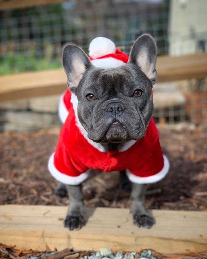 Santa Claus Hoodie – Stylish & Warm Christmas Wear