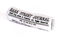 Fun Squeaky Newspaper Dog Toy: Plush Chew Play for Pups