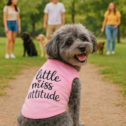 https://cdn.shopify.com/s/files/1/0630/8269/2686/files/p085-20250430_1114_YorkiepooconActitud_remix_01jt3m523ff43tx5j30xk53knk.png?v=1750349453