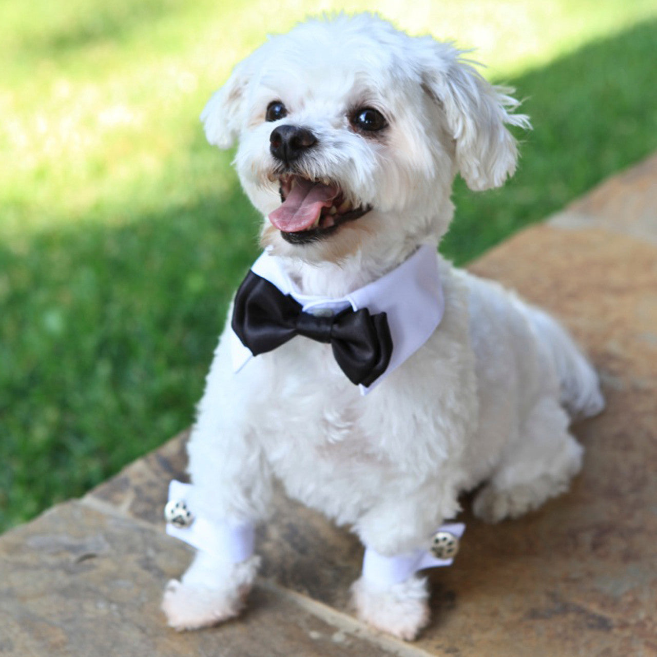 Elegant White Dog Cuffs with Paw Print Cufflinks for Formal Pet Attire