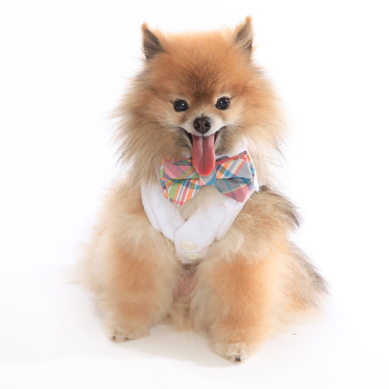 The Wyatt Elegant White Linen Dog Harness Vest with Adjustable D-Ring Leash