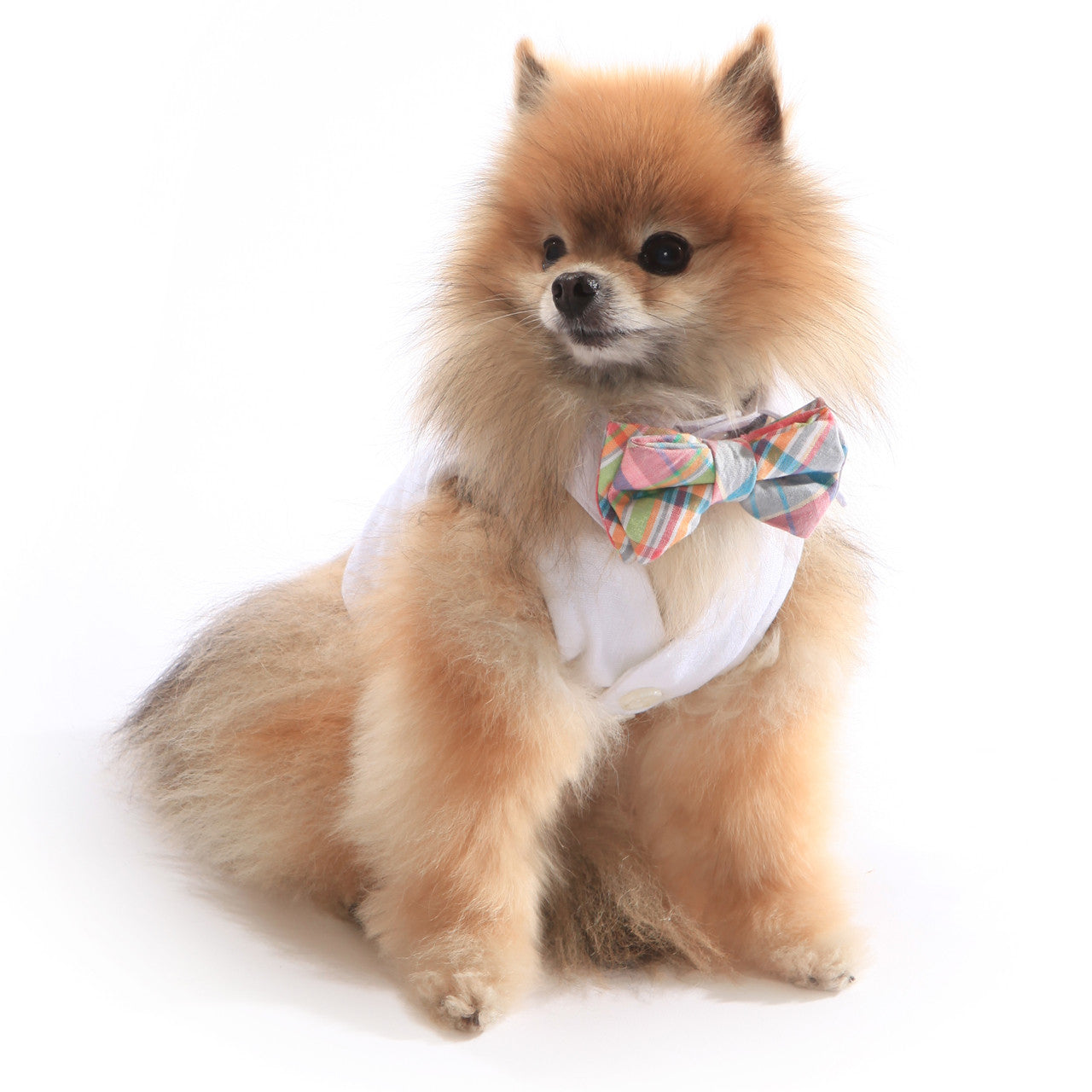The Wyatt Elegant White Linen Dog Harness Vest with Adjustable D-Ring Leash